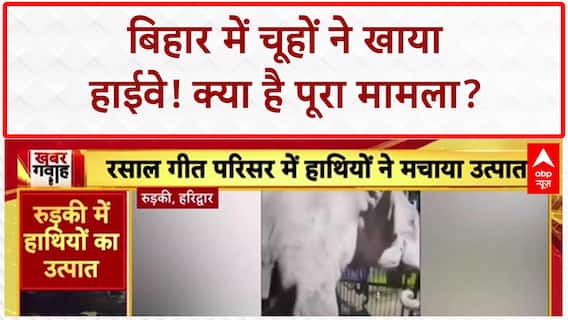 Bihar Breaking: बिहार में चूहों ने खाया 35 KM लंबा Highway, Project Manager का दावा!