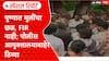 Pune News : मुलींना मारहाण, पोलीस गप्प?  घटनेची तीन दिवसानंतरही तक्रार का नाही? Special Report