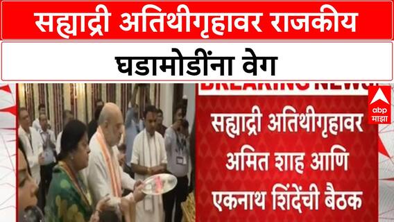 Amit Shah : अमित शाहांकडून राज्यातील संघटनात्मक घडामोडींचा आढावा