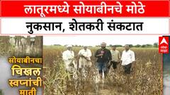 Heavy Rains Crop | लातूरच्या काडगावमध्ये सोयाबीनचे मोठे नुकसान, शेतकरी हवालदिल