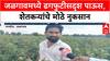 Jalgaon Rain Crop loss : जळगावमध्ये ढगफुटीसदृश पाऊस, शेतकऱ्यांचे मोठे नुकसान
