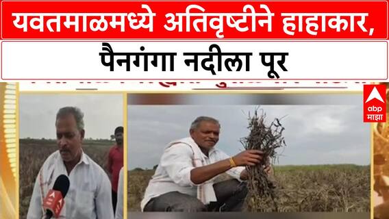 Yavatmal Crop Damage | पैनगंगा नदीला पूर, Soybean वाहून गेले; शेतकऱ्यांची मदतीची मागणी