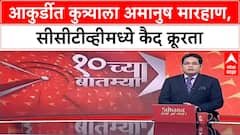 Animal Cruelty | Pimpri Chinchwad मध्ये Siberian Husky ला अमानुष मारहाण, जीव घेतला