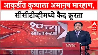 Animal Cruelty | Pimpri Chinchwad मध्ये Siberian Husky ला अमानुष मारहाण, जीव घेतला