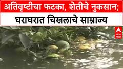 Maharashtra Rains | अतिवृष्टीचा हाहाकार, Marathwada, Ahmednagar, Nashik, Solapur मध्ये मोठे नुकसान