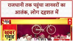Wild Animal Attacks: UP में खूंखार जानवरों का आतंक, Lucknow, Bahraich, Hapur में दहशत