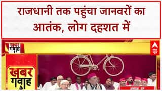 Wild Animal Attacks: UP में खूंखार जानवरों का आतंक, Lucknow, Bahraich, Hapur में दहशत