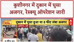 Python Enters Shop: कुशीनगर में 8 फीट अजगर ने मचाई दहशत! Viral Video