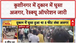 Python Enters Shop: कुशीनगर में 8 फीट अजगर ने मचाई दहशत! Viral Video