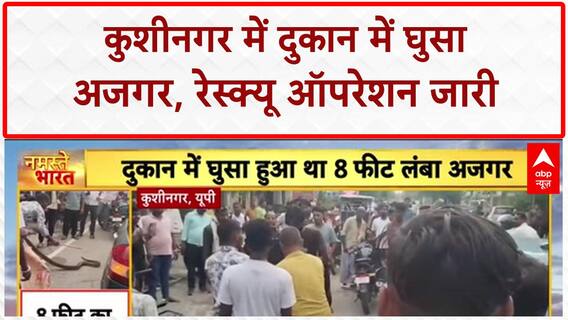 Python Enters Shop: कुशीनगर में 8 फीट अजगर ने मचाई दहशत! Viral Video