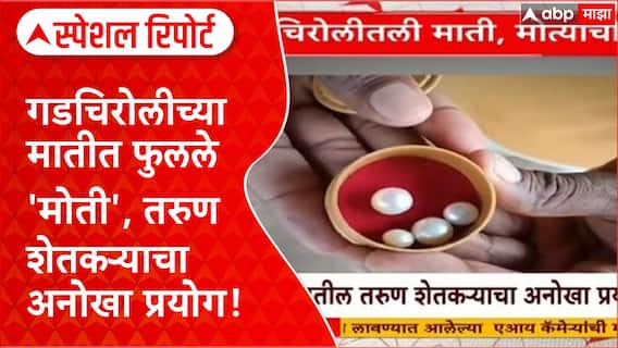 Pearl Farming : Gadchiroli च्या मातीत फुलले 'मोती', तरुण शेतकऱ्याचा अनोखा प्रयोग! Special Report