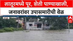Marathwada Floods: लातूरमध्ये पूर, 500 हेक्टर पीक पाण्याखाली, जनावरे उपाशी