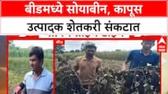 Heavy Rain Crop Damage | बीडमध्ये Soybean, Cotton चे मोठे नुकसान, शेतकरी हतबल