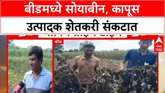 Heavy Rain Crop Damage | बीडमध्ये Soybean, Cotton चे मोठे नुकसान, शेतकरी हतबल