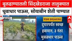 Buldhana Rain : बुलढाण्यातली सिंदखेडराजा तालुक्यात धुवाधार पाऊस, सोयाबीन शेती पाण्यात