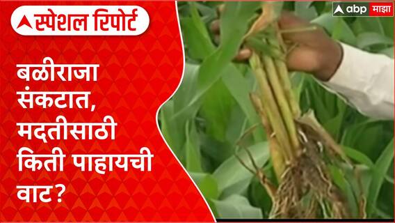 Wet Drought Maharashtra: बळीराजा संकटात, 'ओला दुष्काळ' जाहीर करण्याची मागणी Special Report