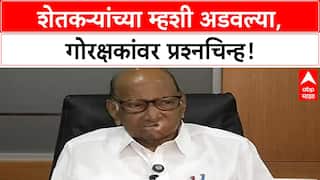 Sharad Pawar| Gorakshak मुळे शेतकऱ्यांचे हाल: म्हशी विकल्या तरी अडवणूक : शरद पवार
