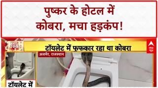 Cobra in Toilet: Ajmer के Hotel में 5 फीट का Cobra, Tourist के उड़े होश!