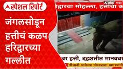 Haridwar Elephant Special Report : जंगलसोडून हत्तीचं कळप हरिद्वारच्या गल्लीत, पाहा व्हिडीओ