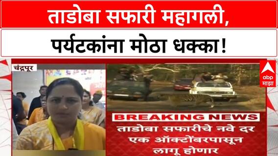 Tadoba Safari Rates Hiked | ताडोबा सफारी महागली, MP Dhanorkar यांचा आंदोलनाचा इशारा!