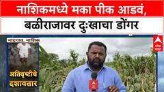 Heavy Rains Crop Damage | नाशिकमध्ये मका पीक जमीनदोस्त, शेतकरी हतबल