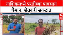 Crop Loss | Nashik, Chandwad मध्ये मुसळधार पावसानं पिकांचं मोठं नुकसान, शेतकरी मदतीच्या प्रतीक्षेत