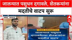 Jalna Loss Aid | जालन्यात पशुधन दगावलेल्या शेतकऱ्यांना 6.81 लाखांची मदत वाटप सुरू