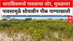 Heavy Rain Dharashiv : धाराशिवमध्ये पावसाचा जोर, मुसळधार पावसामुळे सोयाबीन पीक पाण्याखाली