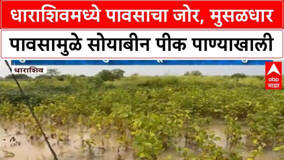 Heavy Rain Dharashiv : धाराशिवमध्ये पावसाचा जोर, मुसळधार पावसामुळे सोयाबीन पीक पाण्याखाली