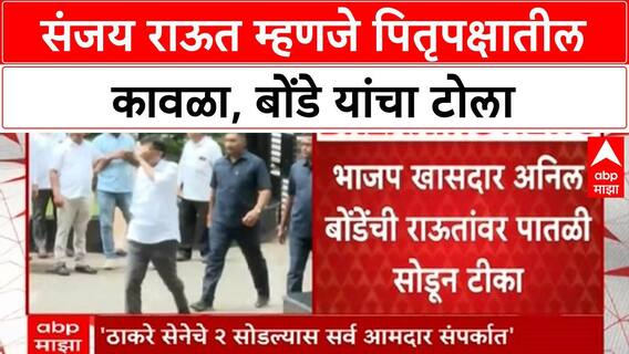 Vice President Election | संजय राऊत पितृपक्षातील कावळा, Bonde यांचा हल्लाबोल