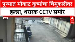 Stray Dog Attack | Pune च्या वडगाव शेरीमध्ये चिमुकलीवर हल्ला, CCTV फुटेज समोर