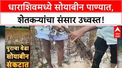 Heavy Rains Damage Crops | धाराशिवमध्ये Soybean चे मोठे नुकसान, शेतकऱ्यांचा 'आता जगायचं कसं?' प्रश्न