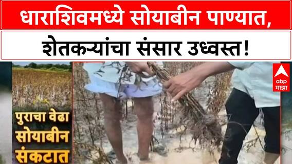 Heavy Rains Damage Crops | धाराशिवमध्ये Soybean चे मोठे नुकसान, शेतकऱ्यांचा 'आता जगायचं कसं?' प्रश्न