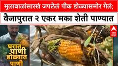 Chatrapti Sambhajinagar:मुलाबाळांसारखं जपलेलं पीक डोळ्यासमोर गेलं; वैजापुरात २ एकर मका शेती पाण्यात