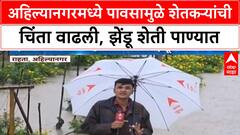Heavy Rain Ahilyanagar | अहिल्यानगरमध्ये झेंडू शेतीचं नुकसान, शेतकरी संकटात