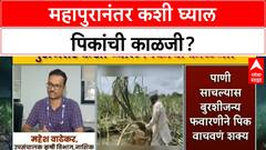 Marathwada Flood Crop Loss | महापुरानंतर कशी घ्याल पिकांची काळजी?