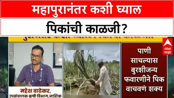 Marathwada Flood Crop Loss | महापुरानंतर कशी घ्याल पिकांची काळजी?
