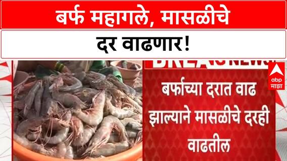 Ice Price Hike Mumbai | मासळीचे दर वाढणार, ग्राहकांना मोजावी लागणार अधिक किंमत