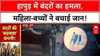 Viral Video: Hapur में बच्चों संग महिला पर Attack, बेखौफ बंदरों ने तलाशा Bag! Monkey Menace