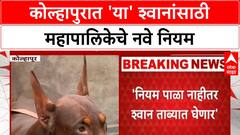 Dog Rules: Kolhapur महापालिकेचे नवे नियम, Rottweiler, Pitbull पाळताय? मग बातमी वाचा