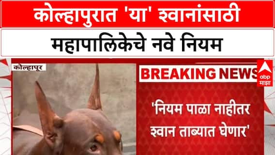 Dog Rules: Kolhapur महापालिकेचे नवे नियम, Rottweiler, Pitbull पाळताय? मग बातमी वाचा