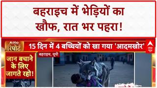 Wolf Attacks: UP के Bahraich में भेड़ियों का आतंक, 4 बच्चों की मौत से दहशत!
