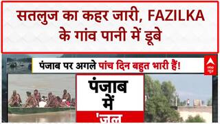 Punjab Flood Situation: Satluj का रौद्र रूप, Fazilka के 14 गांव कटे!