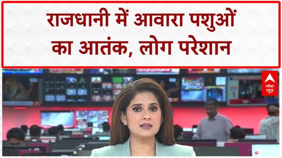 Stray Cattle Menace: UP में 'सांड' का आतंक, Lucknow में दादा-पोते पर Attack