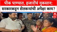 Dharashiv Farmers Sad : सगळं पीक पाण्यात,हजारोंचं नुकसान; सरकारकडून शेतकऱ्यांची अपेक्षा काय?