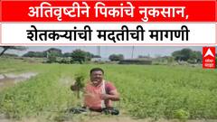 Maharashtra Crop Damage | अतिवृष्टीने पिकांचे नुकसान, 'ओला दुष्काळ' जाहीर करण्याची मागणी