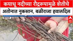 Hingoli Flood कयाधू नदीच्या पुरामुळे Soybean सह इतर पिकांचे मोठे नुकसान, शेतकरी मदतीच्या प्रतीक्षेत