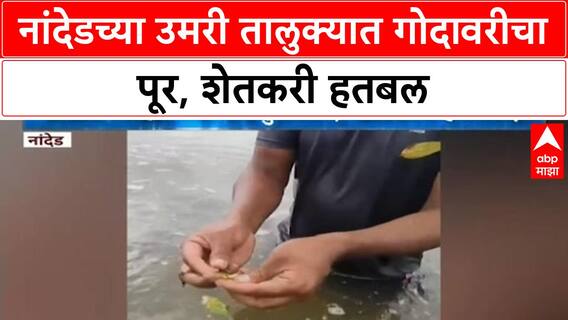 Godavari Flood | Nanded च्या Umri मध्ये 400 हेक्टर जमीन पाण्याखाली, पिकांचं मोठं नुकसान