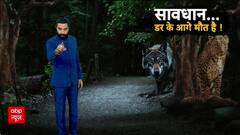 Wild Animal Attacks: Bahraich में आदमखोर भेड़ियों का आतंक, Lucknow में Leopard का खौफ!