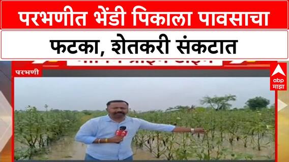 Crop Damage | परभणीत भेंडी पिकाचं मोठं नुकसान, तरुण शेतकऱ्याचं स्वप्न भंगले